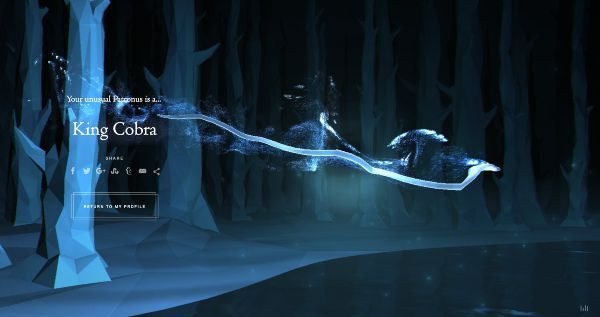 Wizarding World Patronus King Cobra Answers