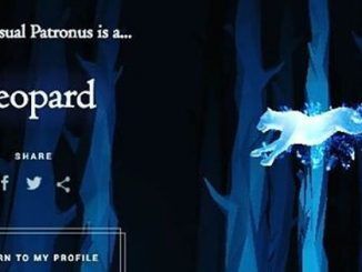 Wizarding World Patronus Leopard Answers