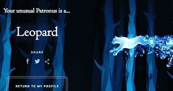 Wizarding World Patronus Leopard Answers
