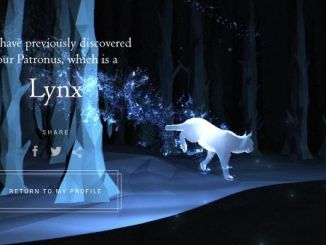 Wizarding World Patronus Lynx Answers