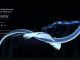 Wizarding World Patronus Occamy Answers