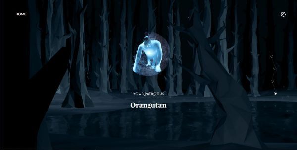 Wizarding World Patronus Orangutan Answers