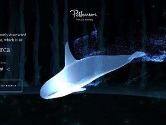 Wizarding World Patronus Orca Answers