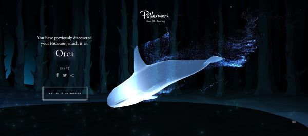 Wizarding World Patronus Orca Answers
