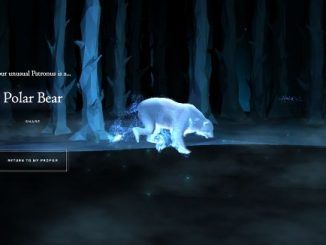 Wizarding World Patronus Polar Bear Answers
