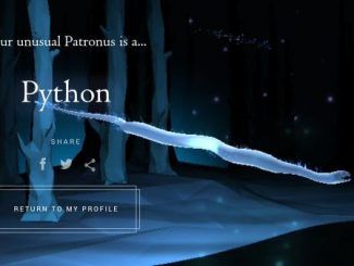 Wizarding World Patronus Python Answers