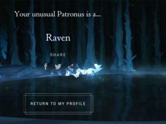 Wizarding World Patronus Raven Answers