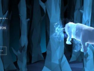 Wizarding World Patronus Rhinoceros Answers