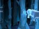 Wizarding World Patronus Rhinoceros Answers