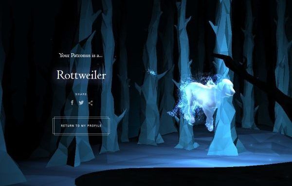 Wizarding World Patronus Rottweiler Answers