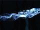 Wizarding World Patronus Runespoor Answers