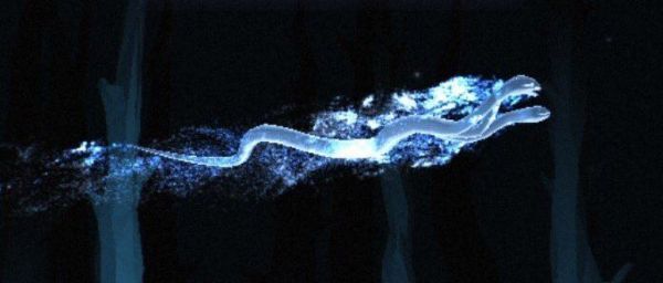 Wizarding World Patronus Runespoor Answers