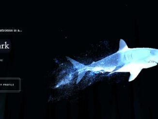 Wizarding World Patronus Shark Answers