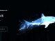 Wizarding World Patronus Shark Answers