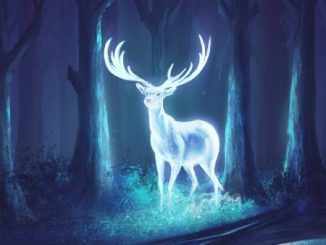 Wizarding World Patronus Stag Answers