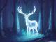 Wizarding World Patronus Stag Answers