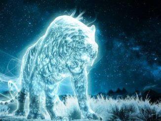 Wizarding World Patronus Tiger Answers