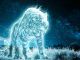 Wizarding World Patronus Tiger Answers