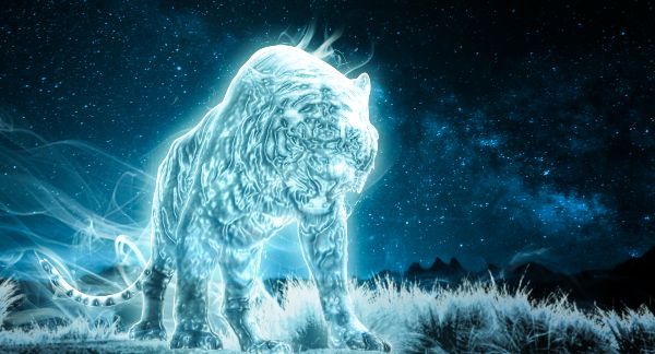 Wizarding World Patronus Tiger Answers
