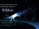 Wizarding World Patronus Wildcat Answers