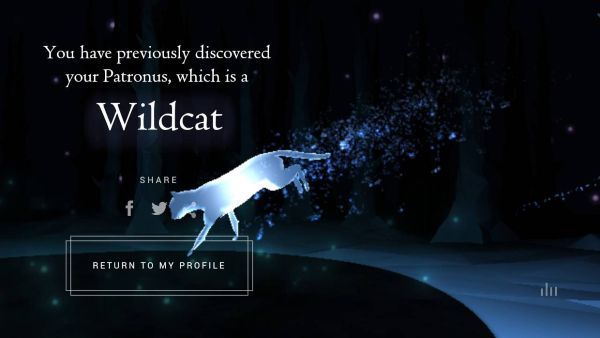 Wizarding World Patronus Wildcat Answers