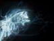 Wizarding World Patronus Wolf Answers