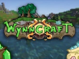 Wynncraft Best Builds