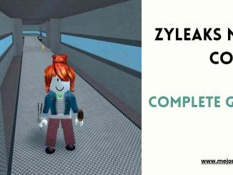 ZYLEAKS MM2 CODES