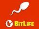 BitLife Ribbons
