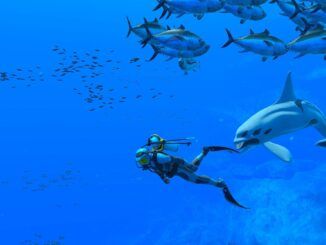 endless ocean luminous how to befriend fish