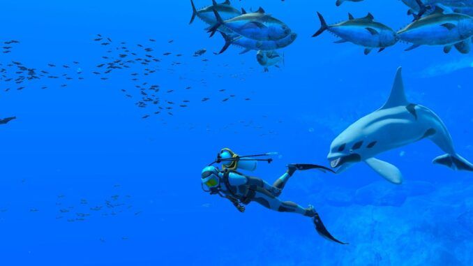endless ocean luminous how to befriend fish