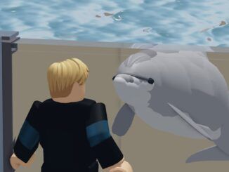 How To Catch A Dolphin Fisch Guide