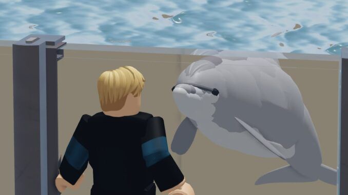 How To Catch A Dolphin Fisch Guide