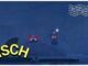 Fisch private servers
