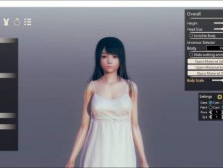 Honey Select 2 Cards