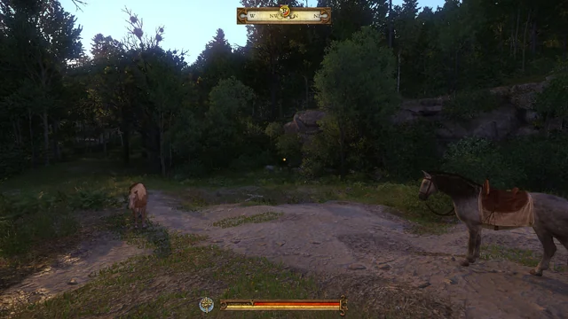 Kingdom Come Deliverance how to afford charcoal