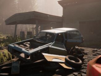 how to recognize quirks in pacific drive