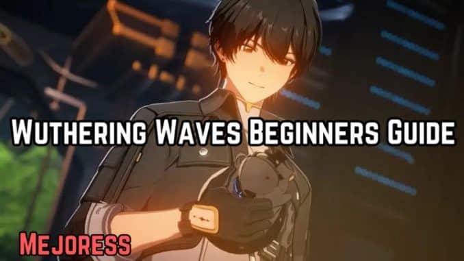 Wuthering Waves Beginners Guide