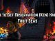 How to Get Observation (Ken) Haki in Fruit Seas