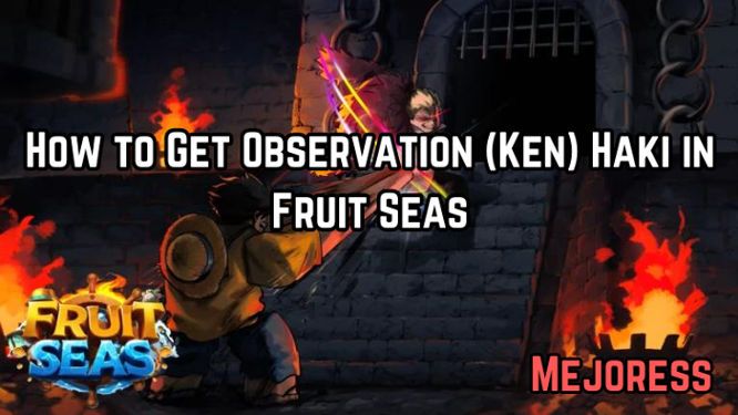 How to Get Observation (Ken) Haki in Fruit Seas