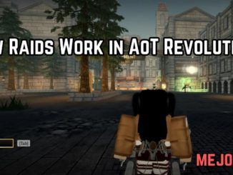 How Raids Work in AoT Revolution?