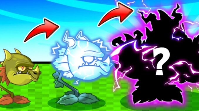Plant Evolution Codes