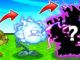 Plant Evolution Codes