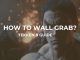 tekken 8 how to do wall grab