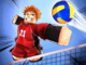 Voleyball Legends